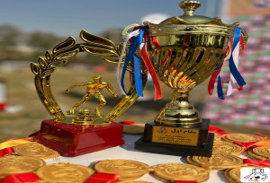 جوایز زیبای مسابقات فستیوال شمالغرب